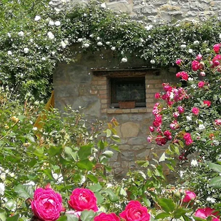 Holiday home Ca Di Minu Tarzo